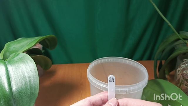 Что ещё мы делаем с орхидеями которые стоят без грунта.