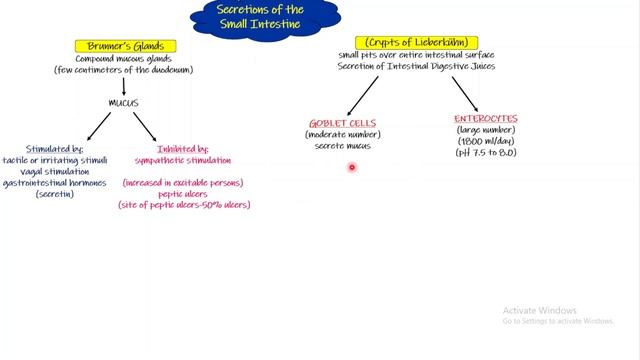 Secretions of Small Intestine. Chapter 65 (part 9). Guyton and Hall Physiology.