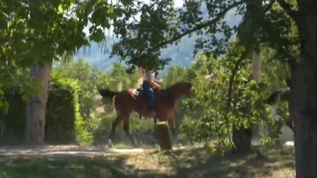 Abano e Montegrotto Terme: TERRA MADRE.
