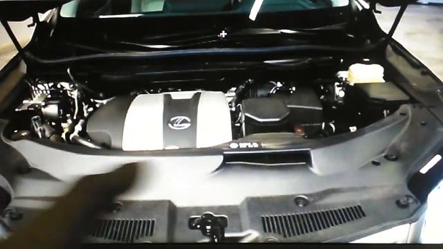 ការបង្ហាញឡាន 2018 Lexus RX 350 និង 2018 Lexus RX 350 F-Sport