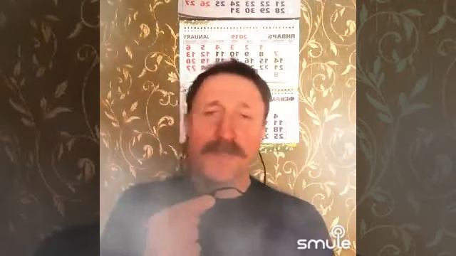 Снегири (Трофим)