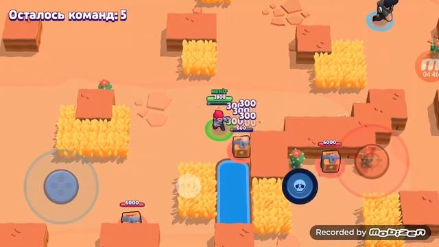 Brawl Stars первое место