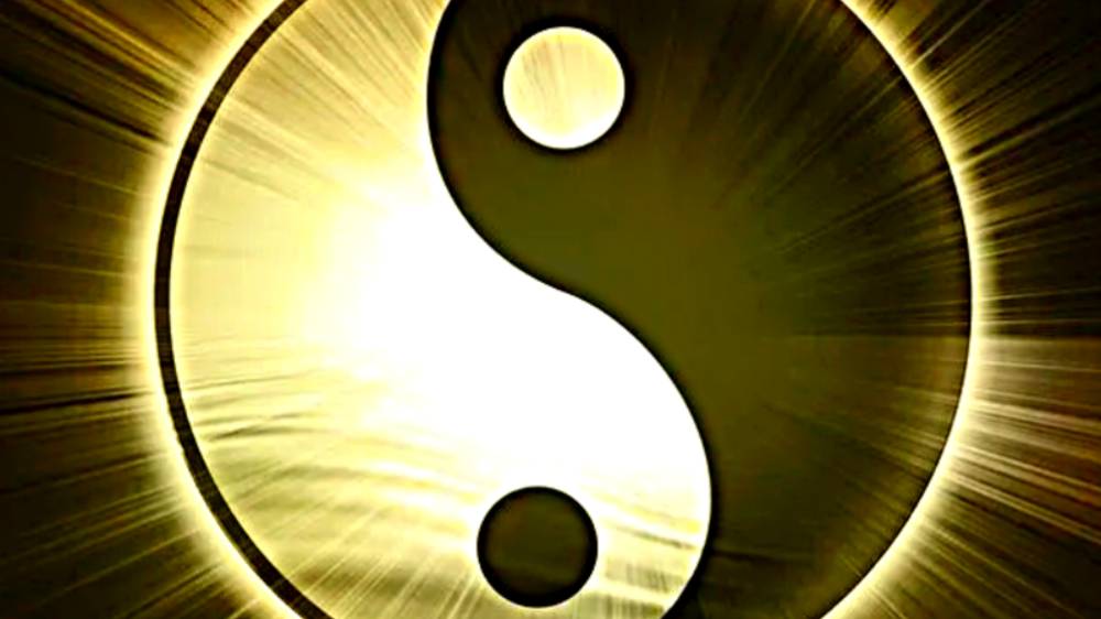 ТС "ИНЬ ЯН" подведение итогов. Инвестиционный проект "OILMAN 159"