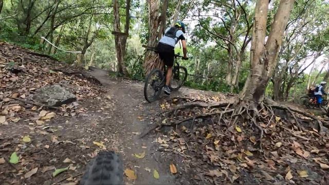 Markham Park-Two loops through Alligator Alley