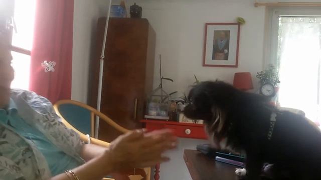 Renato parle