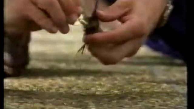 Aussie retro ad -  Dare full strength espresso coffee TV commercial