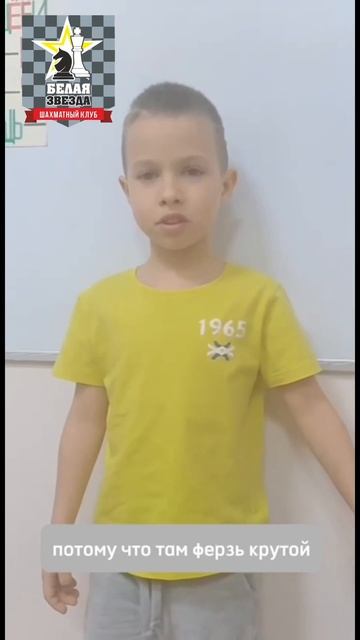 Почему ты любишь шахматы 1