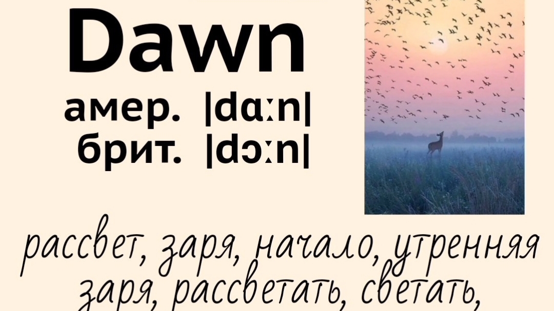 Picture dictionary/визуальный словарь👉dawn