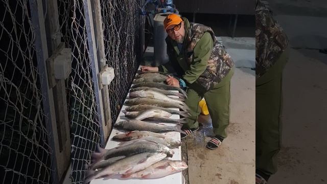 Рыбалка в Астрахани база Кигач- хаус тел 89611371111