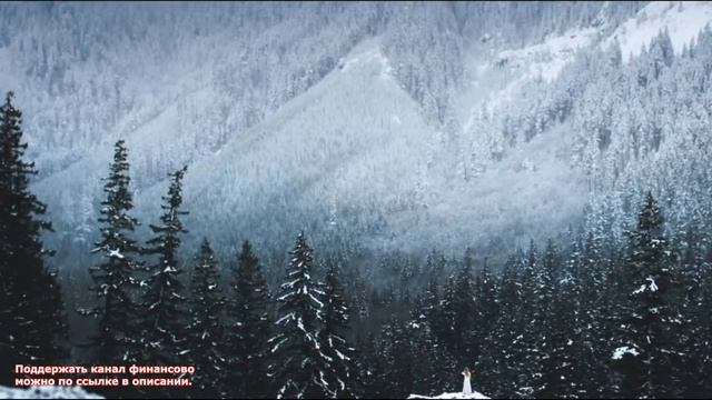 СТРАННОСТИ В ЛЕСНОМ ГОРНОМ ДОМИКЕ ( История на выходной )