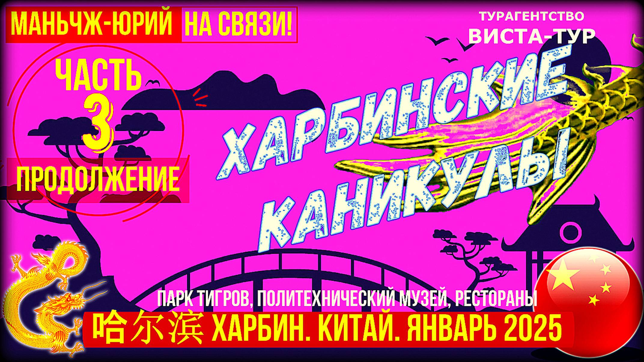 Харбин 哈尔滨январь 2025. Китайские каникулы. Часть 3. Парк тигров, технический музей, рестораны