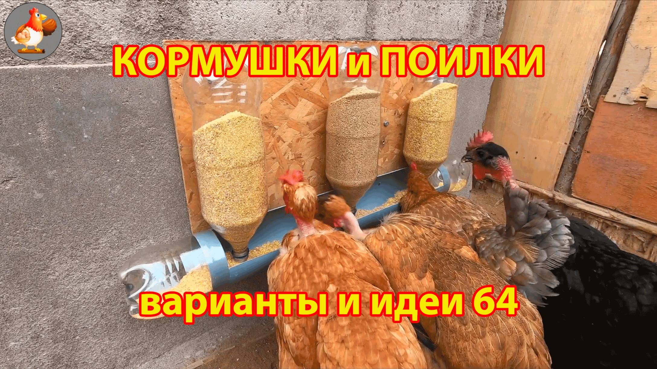 Кормушки и поилки для кур своими руками 64 🪚✂️ Пошаговая инструкция как сделать 🐔 🐓❣️