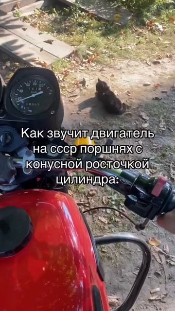 Поршни СССР и новодел на иж Юпитер 5, в чем разница? #ижюпитер #ссср #ижевск