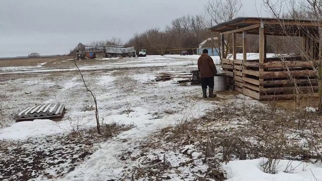 Овцеводство/Пополнение в хозяйстве/Как живут в русской деревне.