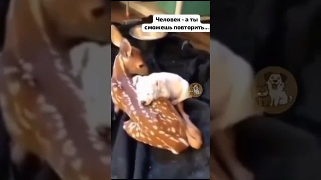 1000100791.mp4