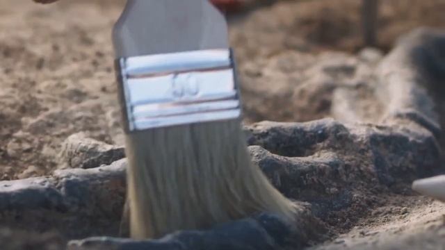 VIDA NA TERRA:  Antes dos Dinossauros