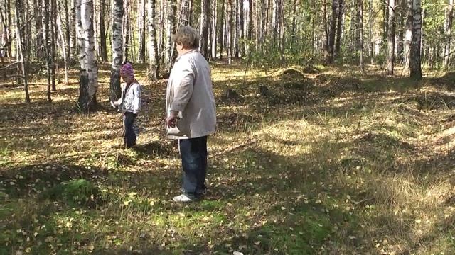 это-подберезовик, а это красивый-мухомор