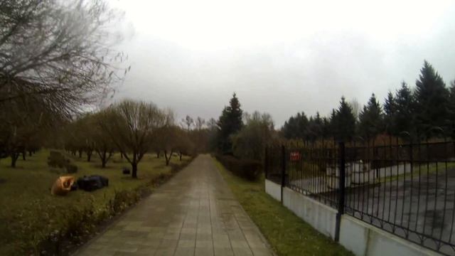 Стедикам и палка