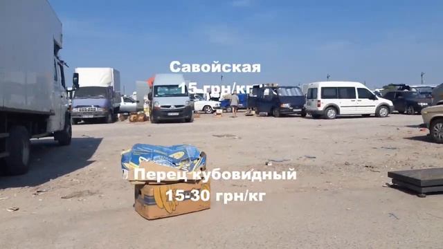 Цены в Копанях на рынке 11 августа