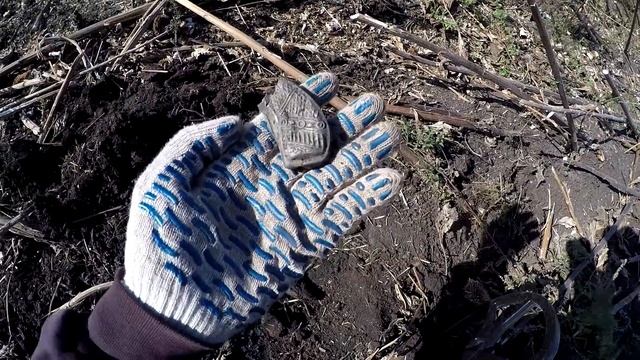 Поиски на выбитой поселухе. Не всё выкопали кладоискатели)