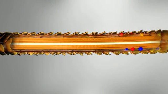 Hair 3D Animation