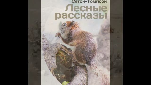 Томпсон