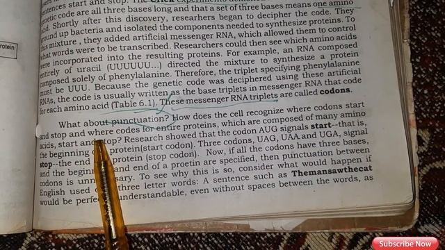 Genetic code  uses three bases