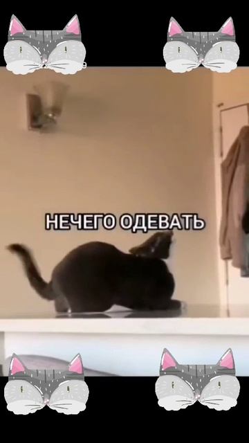 Они такие