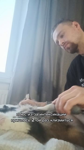 4-ый день условного голодания #голодание #оздоровительноеголодание #условноеголодание #матрица