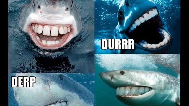 Right From The Shark's Jaws - Byron McNaughton (1975)