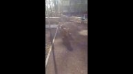 Пацан провалился сквозь время