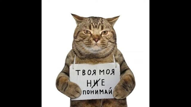 Странности есть везде. Часть 27