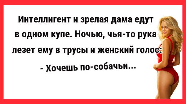 - Хочешь по-собачьи? Новые Анекдоты! Свежие Анекдоты! Юмор! Смешные анекдоты!