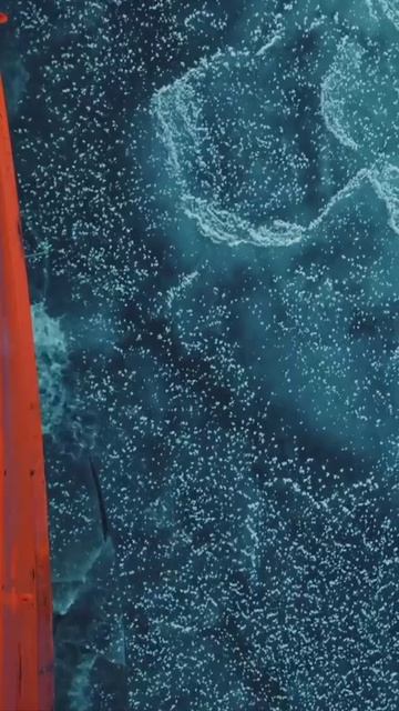 Путешествие на ледоколе по Лапландии