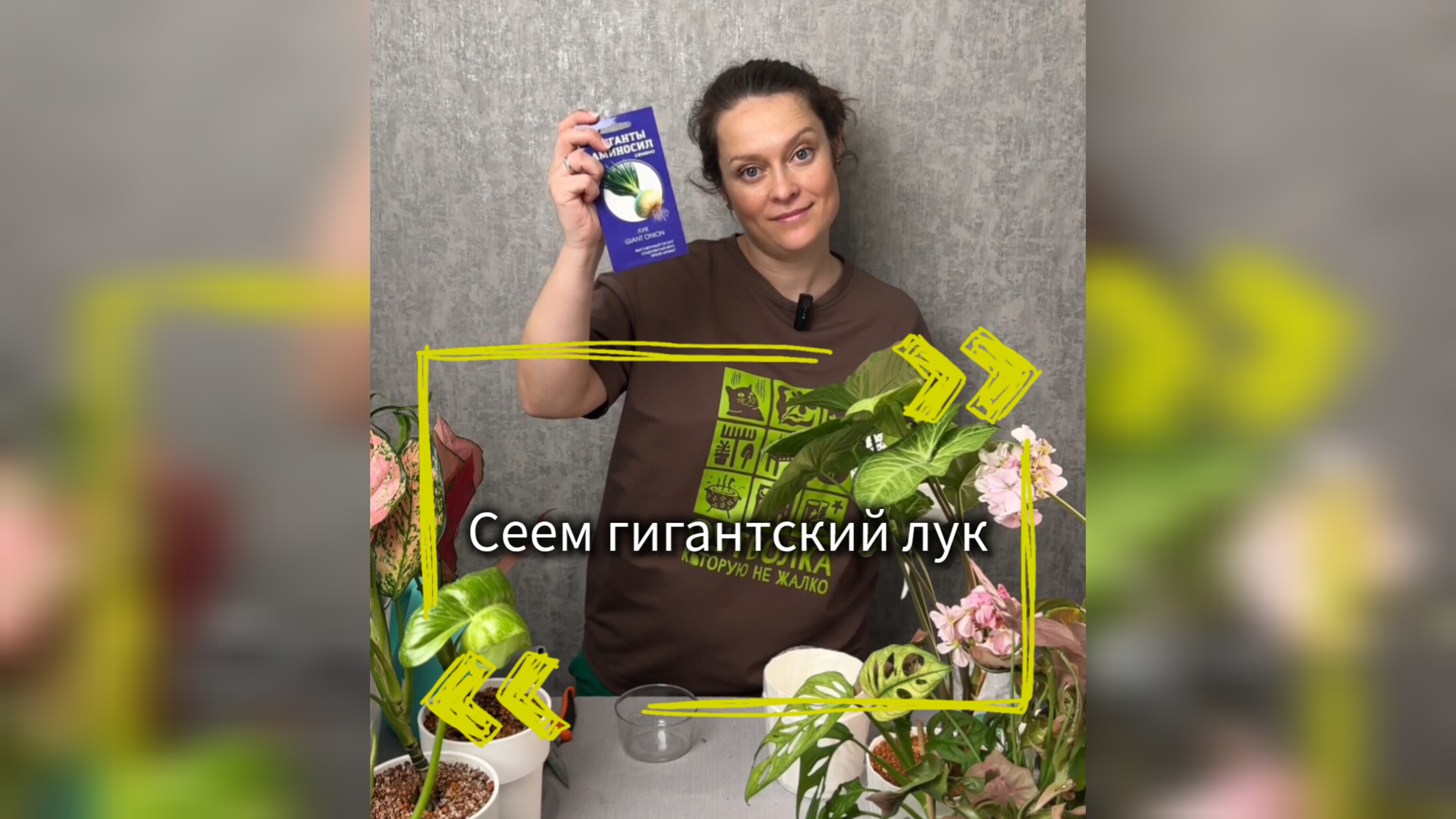 Сеем гигантский лук 🧅