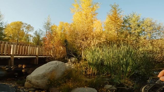 Taking photos in GOLDEN PARADISE POV with Sony A7siii