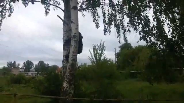 Маркс время назад 2