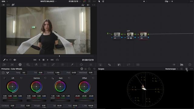 Sony BEST Picture Profile A7IV, FX3, A7sIII Video - Skin Tone Settings for CINEMATIC VIDEO