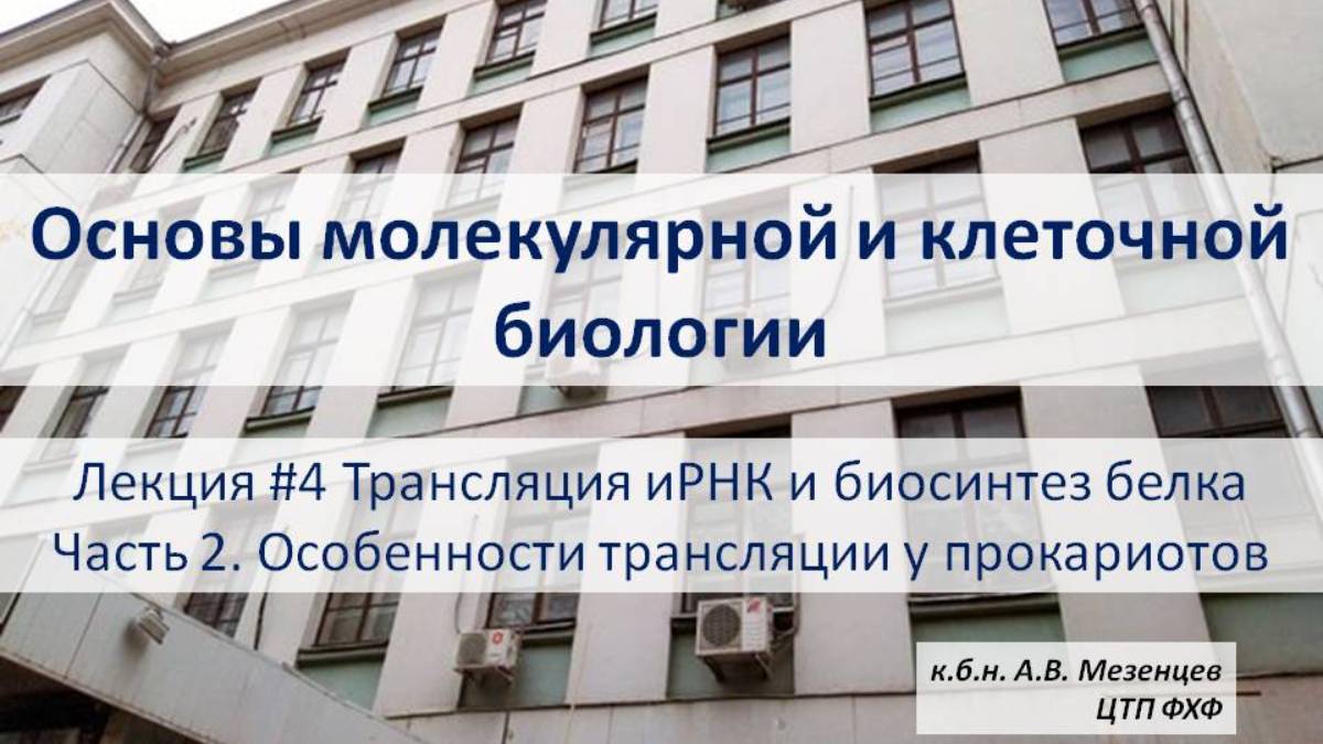 Основы мол. и кл. биологии (2024) Л 4 Трансляция, Биосинтез белка. Ч 2 Трансляция у прокариотов/