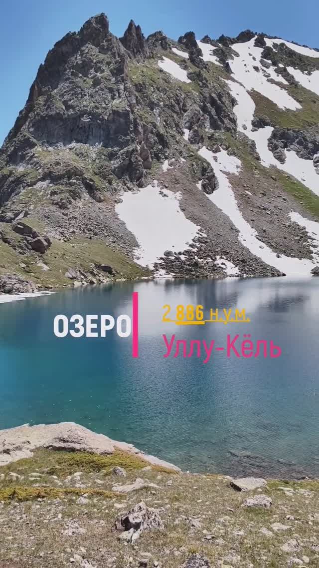дикие  животные в #кчр #mountains #горы #travel