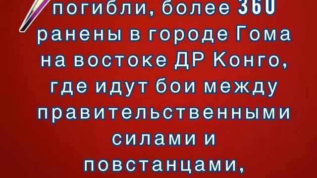 Не менее 17 человек погибли, более 360 ранены в городе Гома на востоке ДР Конго