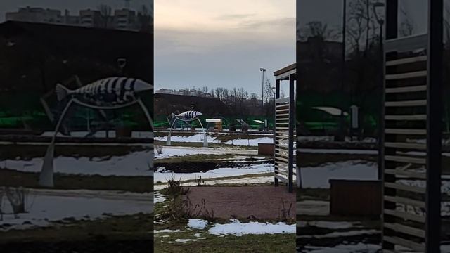 Бегемотики на Финском заливе