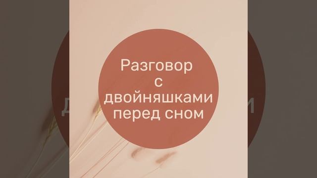 Разговор с двойняшками перед сном