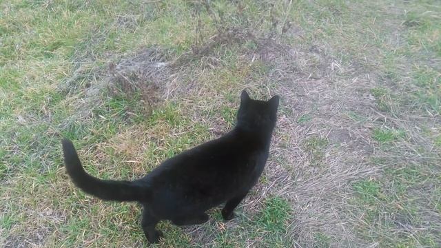 VID_20250127_131456.mp4