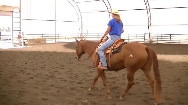 Smart Jojo Chex 1998 AQHA Mare - SOLD