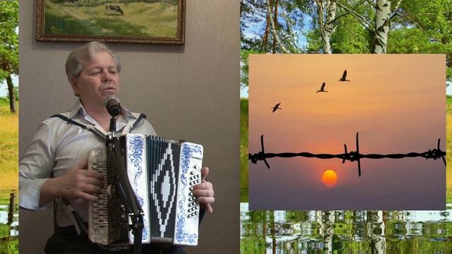 30 Я в весеннем лесу