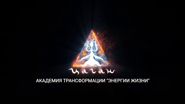 Отзывы