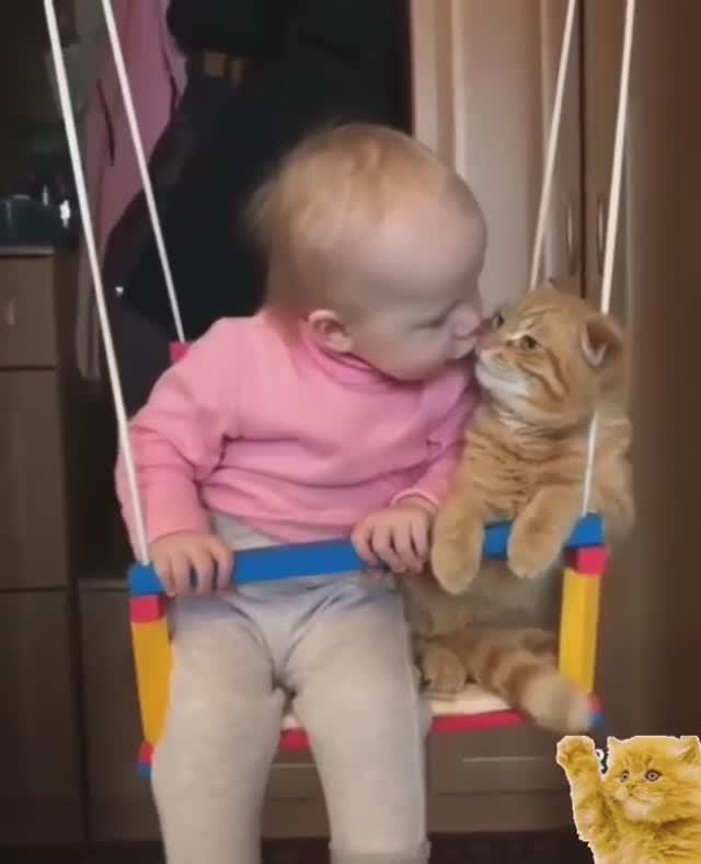 Неразлучные друзья👶💞😽