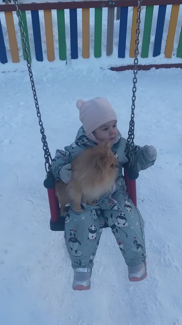 Маленький хвостик
Собака улыбка
Собачка в памперсе