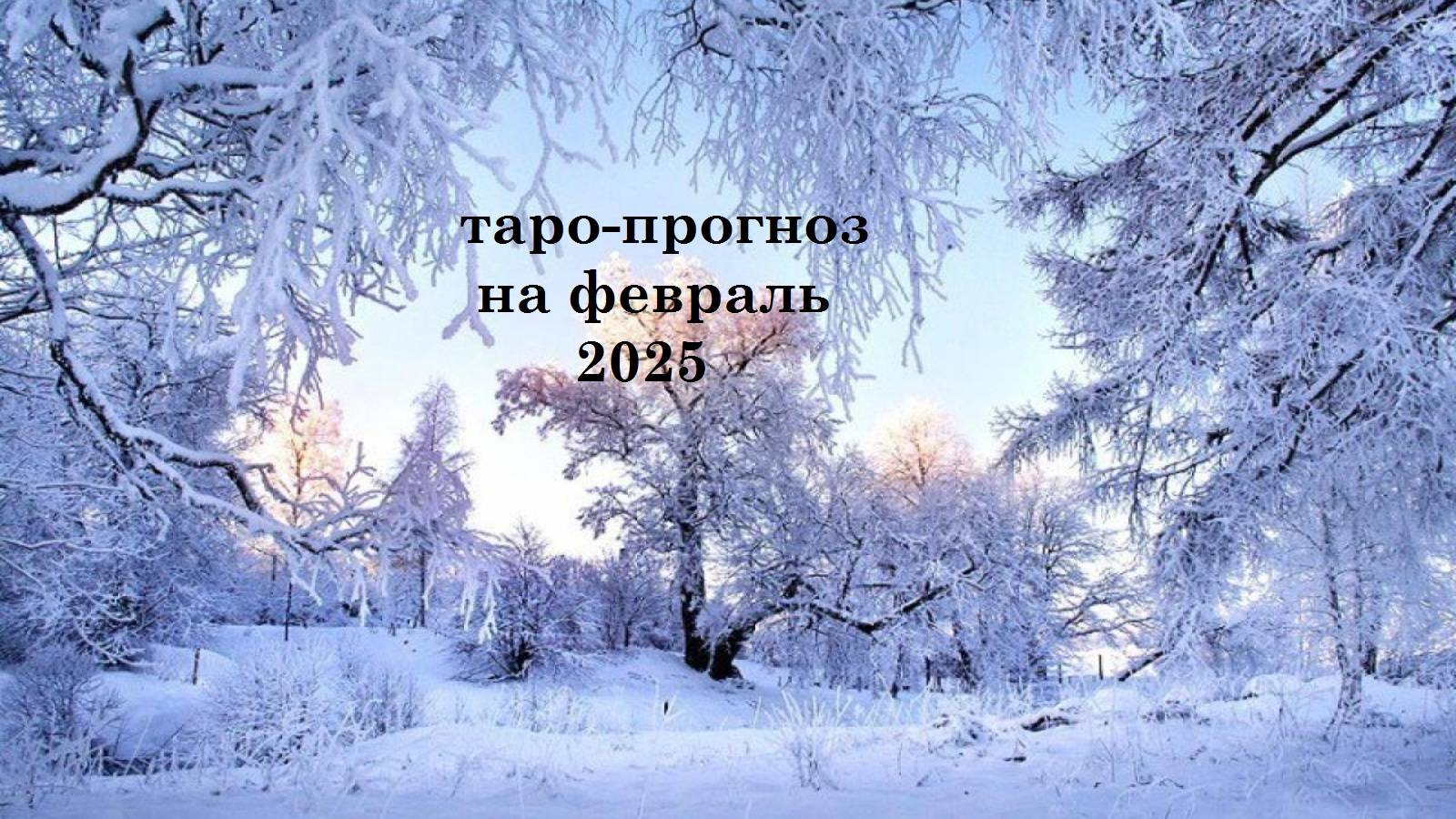 Таропрогноз на февраль 2025